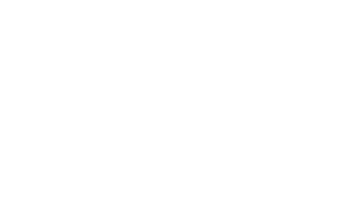 Plogo-40