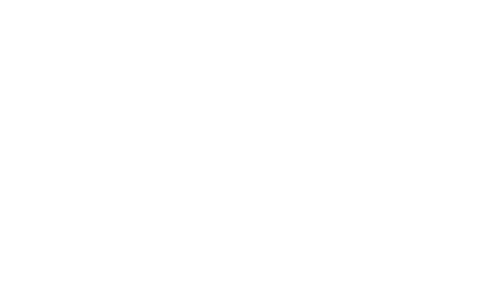 Plogo-50